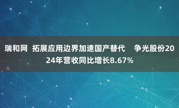 瑞和网  拓展应用边界加速国产替代    争光股份2024年营收同比增长8.67%