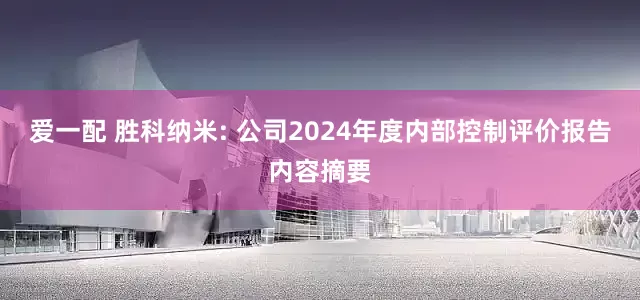 爱一配 胜科纳米: 公司2024年度内部控制评价报告内容摘要
