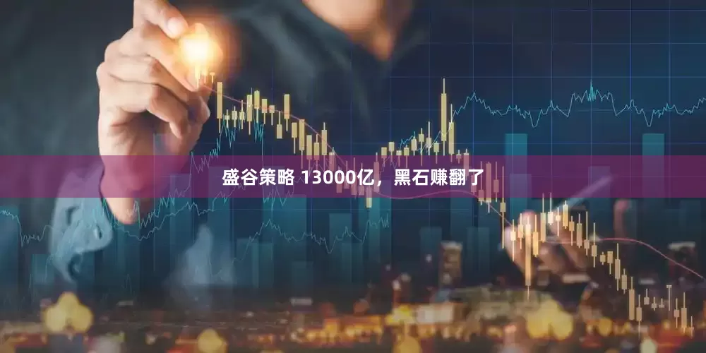 盛谷策略 13000亿，黑石赚翻了